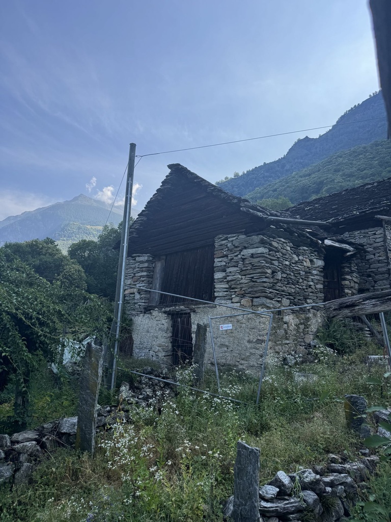 IMG_4177.jpeg